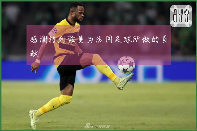 感谢格列兹曼为法国足球所做的贡献